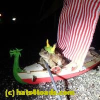 /home//u458753944/public_html/sourcegallery///////Roxborough Toad Detour/2013-2019/2018/2018-02-21/P2210060.JPG